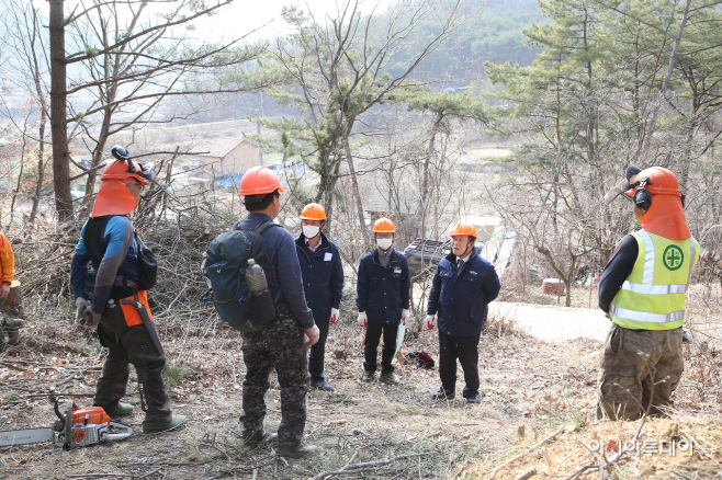 0308 함안군, 벌목 작업 현장 안전점검 실시3