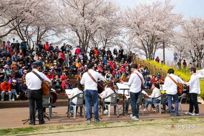 2019년 벚꽃축제 행사 사진