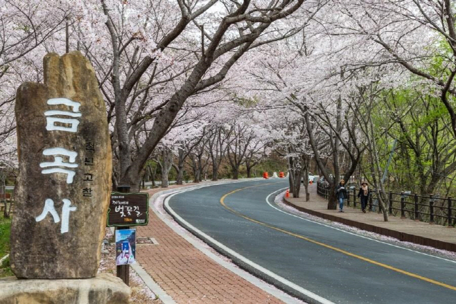 강진군