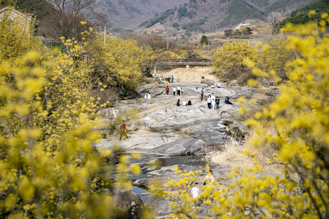 전남도