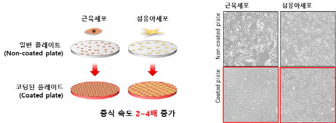 01의성군제공 고속 배양 기술
