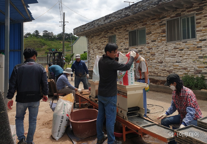 벼 육묘용 상토 공급1