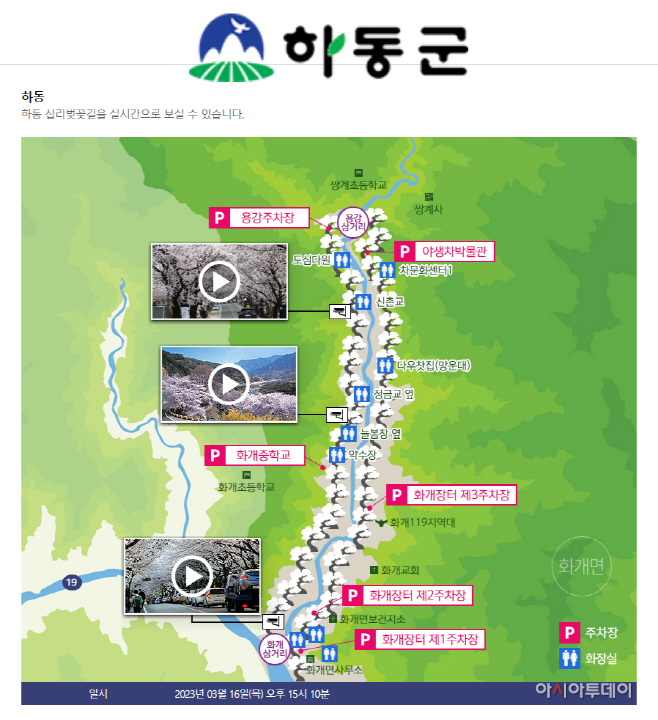 벚꽃 개화 서비스1