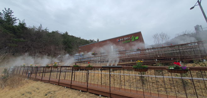 무안군