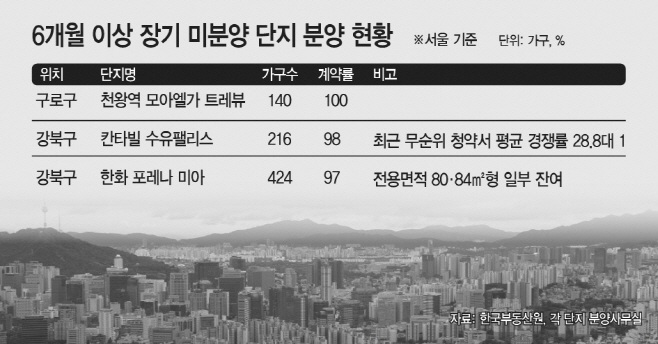 6개월 이상 장기 미분양 단지 분양 현황