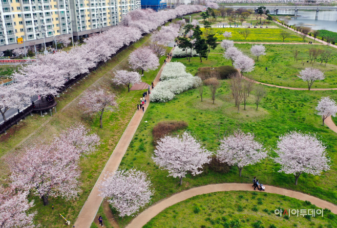 20230322-밀양 봄꽃 명소 추천(1)