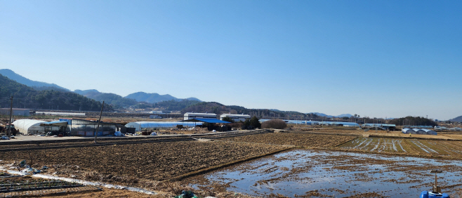 전남도