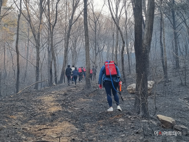 3일 (홍성군 서부면 중리 산불 모든 자원 동원해 진화에 총력)