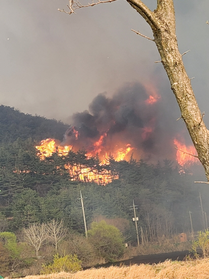 함평 산불 2단계