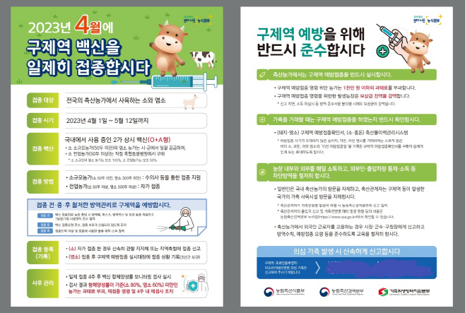 전남도
