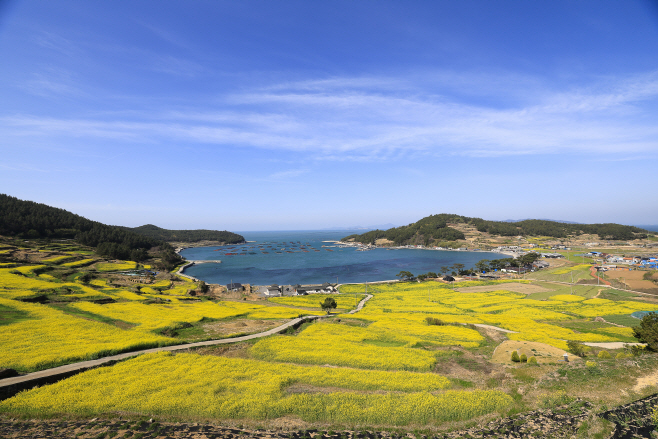 청산도