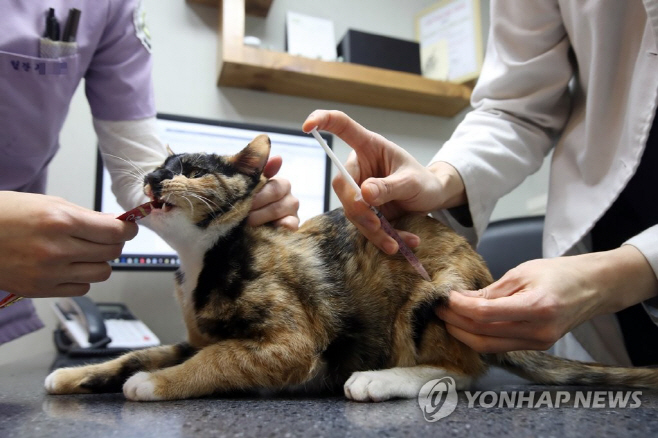 수의사 연합사진