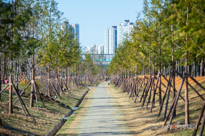 1서구, 석남이음숲 내 미세먼지 차단숲 준공