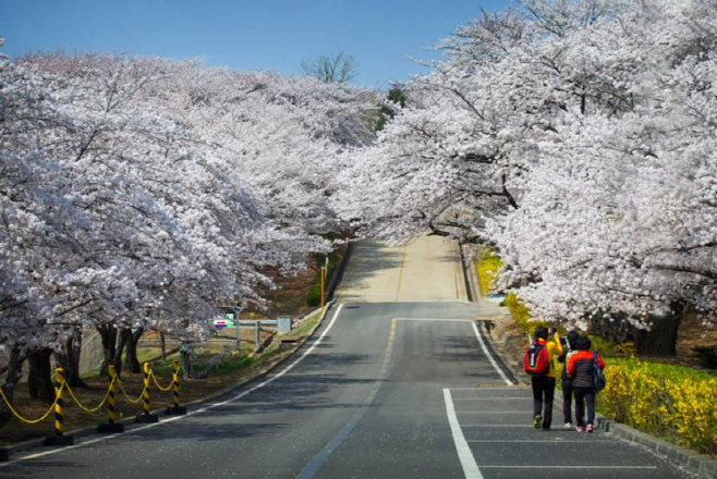 사진2