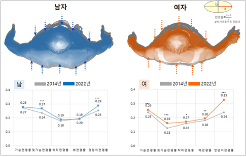 한국인 남녀 고령자의 편평률 증가에 따른 인체형상 변화