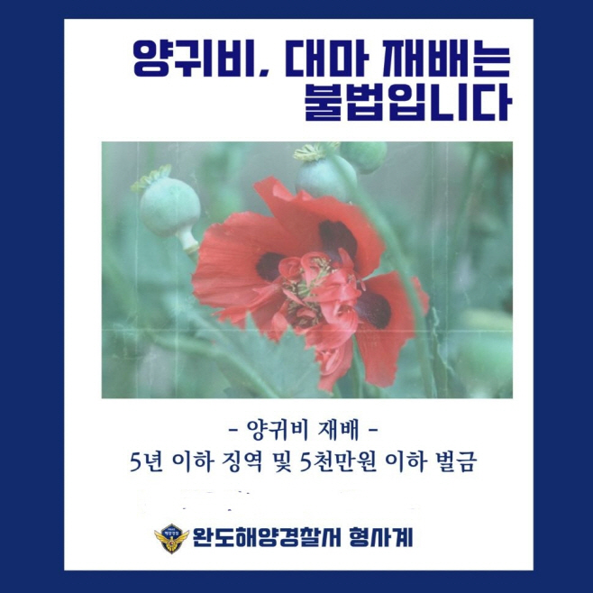 완도해양경찰서
