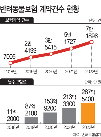 basic_2022