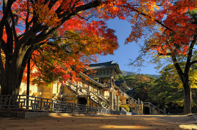 7. 가을(불국사)