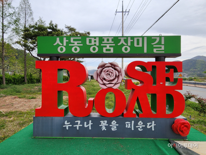 20230414-상동면 장미꽃길, 자연 속 힐링에 기대만발(2)