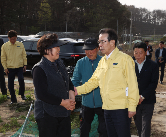 사진 2.산불피해현장