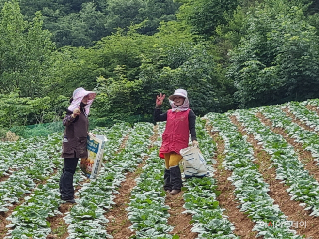 외국인계절근로자 근무