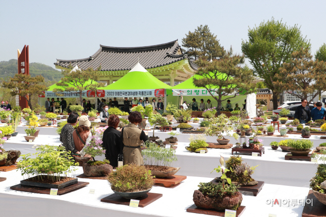 .전국 분경야생화 작품전시회 개최)