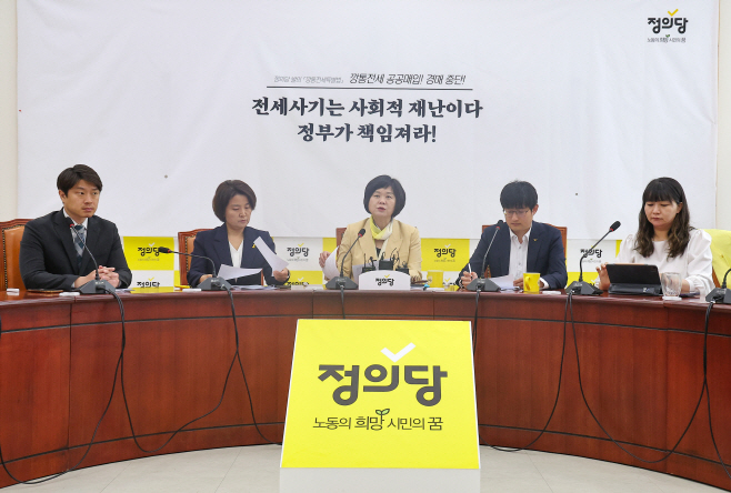 발언하는 이정미 대표