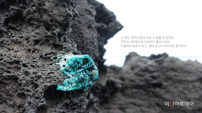 작품
