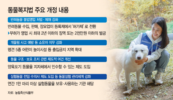 basic_2022
