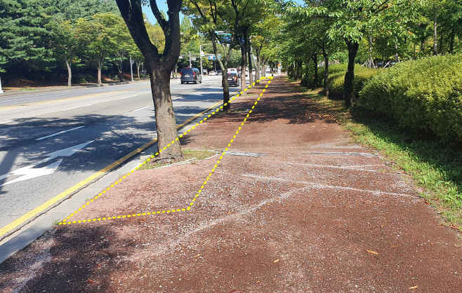 백마·풍산역 일원 빗물 담는 가로숲길 조성하는 고양시/제공=