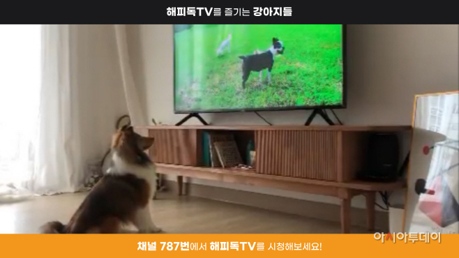 clip20230502104315