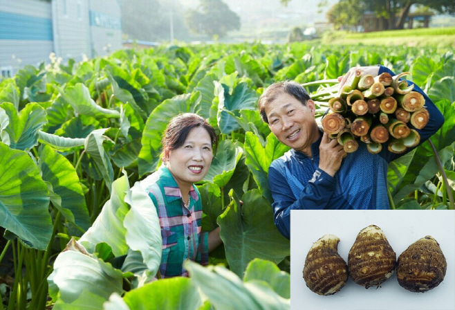 전남농기원