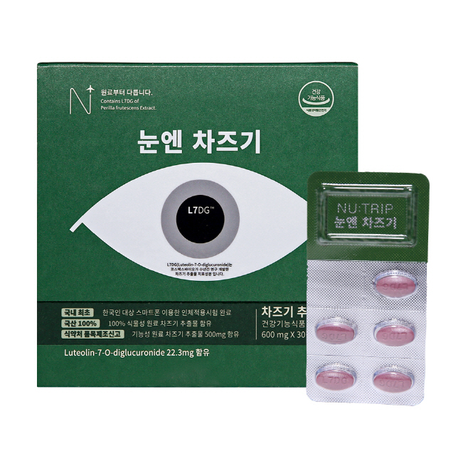 전남도