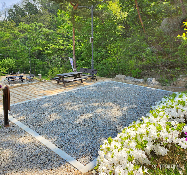 시설관리공단(태학산자연휴양림 오토캠핑장 사이트) (1)