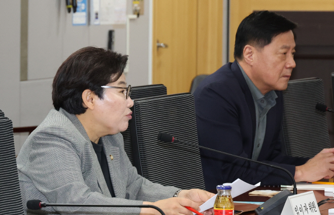 노동 정책 당정간담회에서 발언하는 임이자 의원