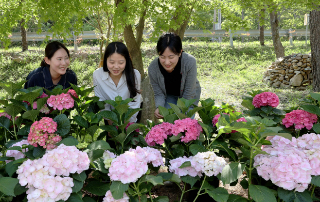 강진군