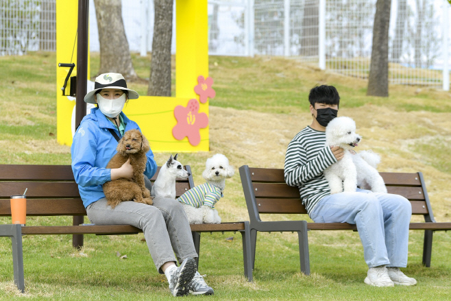 반려견 무료 돌봄 서비스를 시행