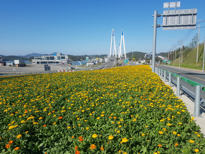 진도군