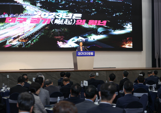 이미지 DGB 대구 CEO포럼 (2)