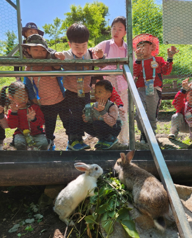 보성군