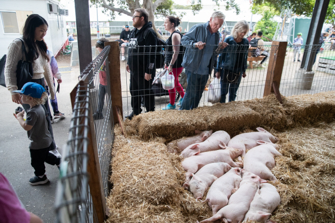 AUSTRALIA-SYDNEY-ROYAL EASTER SHOW