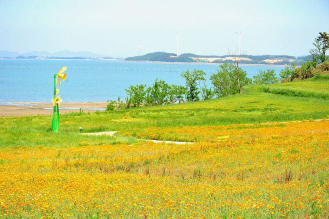 지도선도 금영화(3)