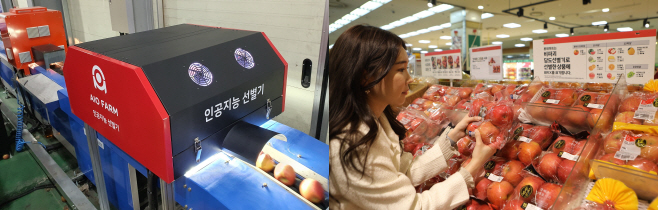 롯데마트