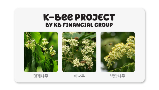 kb금융