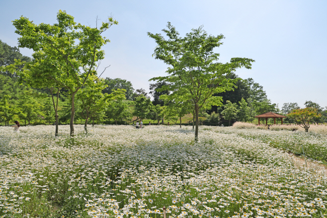 0518 “함안 악양생태공원에서는 당신이 꽃”(4) (1)