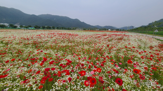 보도자료사진2