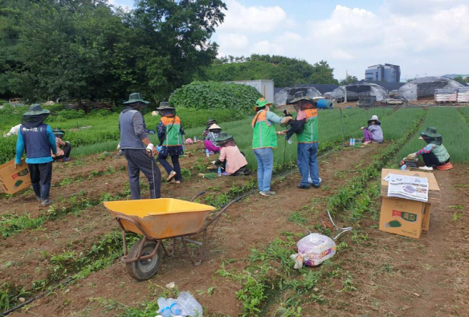 예산군, 폭염 3대 취약분야 집중관리 등 폭염 종합대책 추진!