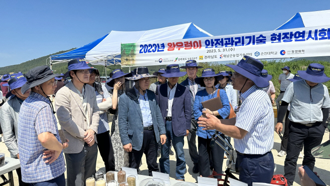 전남도