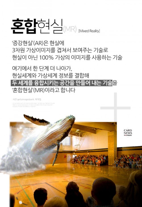 카드 뉴스 이미지