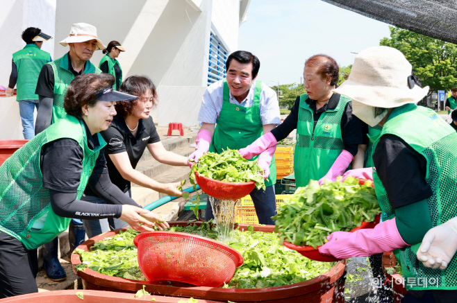 새마을운동 보령시지회, 사랑의 김치 나누기 행사
